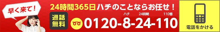 ハチのことならお任せ